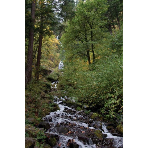 Wahkeena Falls III White Modern Wood Framed Art Print by Berzel, Erin