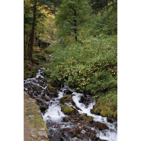 Wahkeena Falls IV Black Modern Wood Framed Art Print with Double Matting by Berzel, Erin