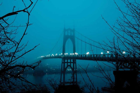 St. Johns Bridge II Black Ornate Wood Framed Art Print with Double Matting by Berzel, Erin