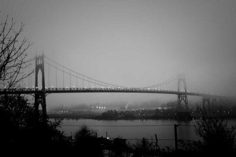 St. Johns Bridge IV Black Ornate Wood Framed Art Print with Double Matting by Berzel, Erin