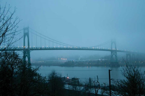 St. Johns Bridge VII Black Ornate Wood Framed Art Print with Double Matting by Berzel, Erin