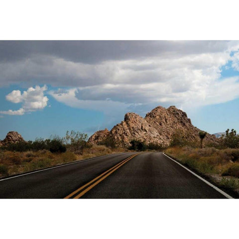 Joshua Tree National Park I Gold Ornate Wood Framed Art Print with Double Matting by Berzel, Erin