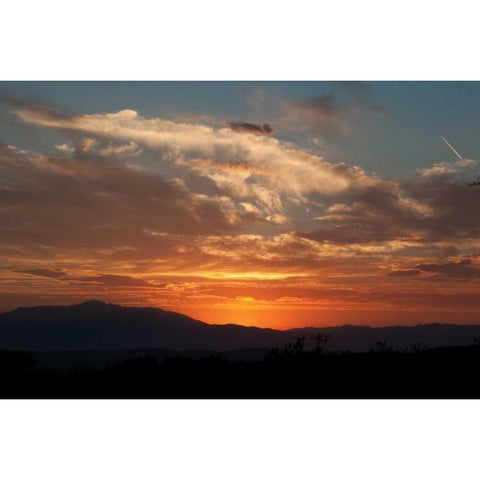 Sunset in Joshua Tree I Gold Ornate Wood Framed Art Print with Double Matting by Berzel, Erin