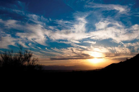 Sunset in Joshua Tree I Black Ornate Wood Framed Art Print with Double Matting by Berzel, Erin