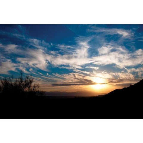 Sunset in Joshua Tree I Black Modern Wood Framed Art Print with Double Matting by Berzel, Erin