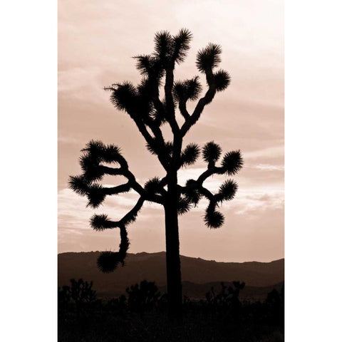 Yucca Brevifolia II Gold Ornate Wood Framed Art Print with Double Matting by Berzel, Erin