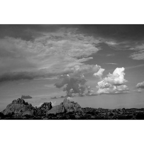 Clouds in Joshua Tree I White Modern Wood Framed Art Print by Berzel, Erin