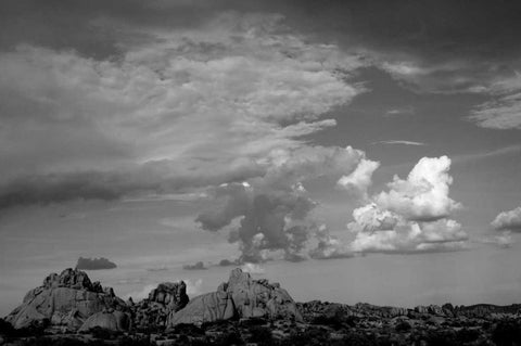 Clouds in Joshua Tree I Black Ornate Wood Framed Art Print with Double Matting by Berzel, Erin