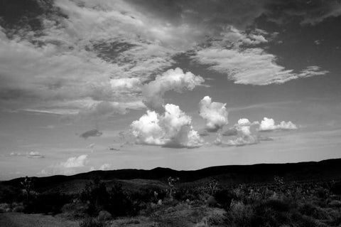 Clouds in Joshua Tree II Black Ornate Wood Framed Art Print with Double Matting by Berzel, Erin