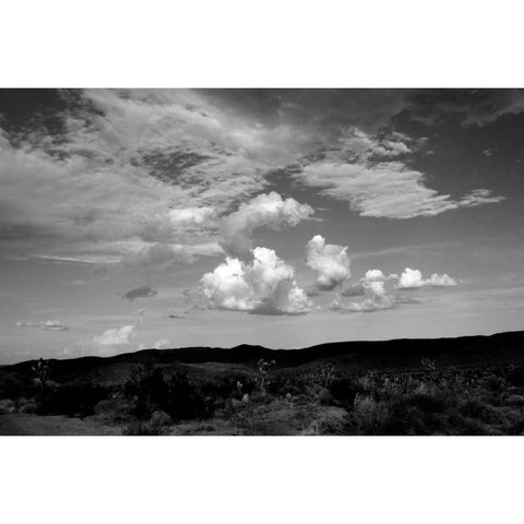 Clouds in Joshua Tree II Gold Ornate Wood Framed Art Print with Double Matting by Berzel, Erin