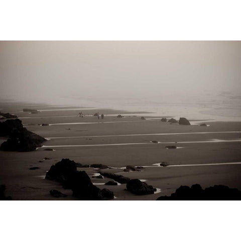 Beach at Seal Rock I Gold Ornate Wood Framed Art Print with Double Matting by Berzel, Erin