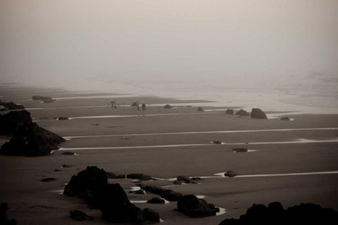 Beach at Seal Rock I Black Ornate Wood Framed Art Print with Double Matting by Berzel, Erin