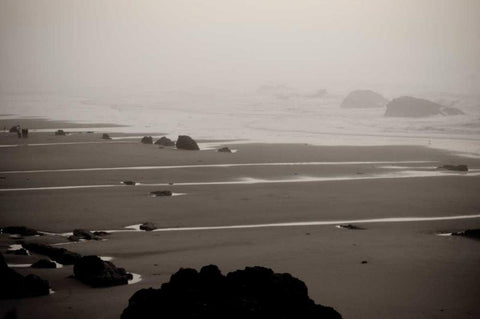 Beach at Seal Rock II White Modern Wood Framed Art Print with Double Matting by Berzel, Erin