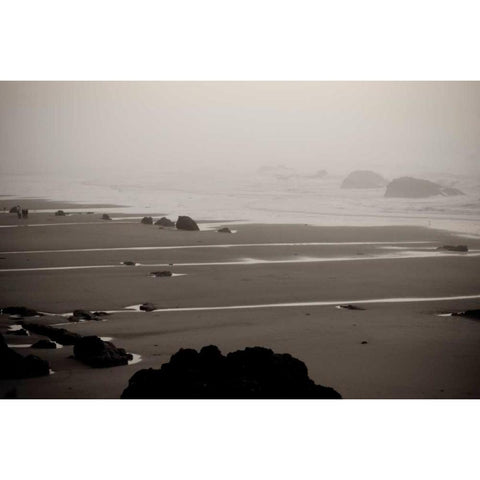 Beach at Seal Rock II White Modern Wood Framed Art Print by Berzel, Erin