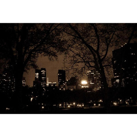 Central Park at Night I Gold Ornate Wood Framed Art Print with Double Matting by Berzel, Erin