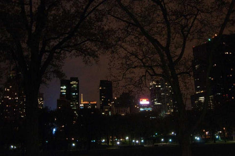 Central Park at Night II Black Ornate Wood Framed Art Print with Double Matting by Berzel, Erin