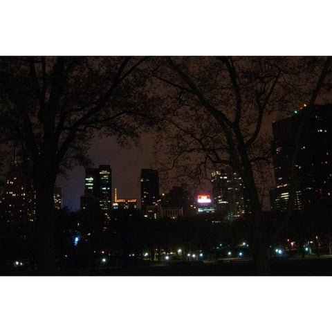 Central Park at Night II Black Modern Wood Framed Art Print with Double Matting by Berzel, Erin