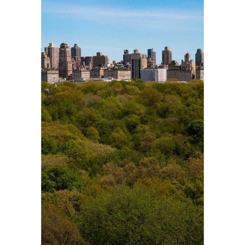 Central Park I Black Modern Wood Framed Art Print with Double Matting by Berzel, Erin