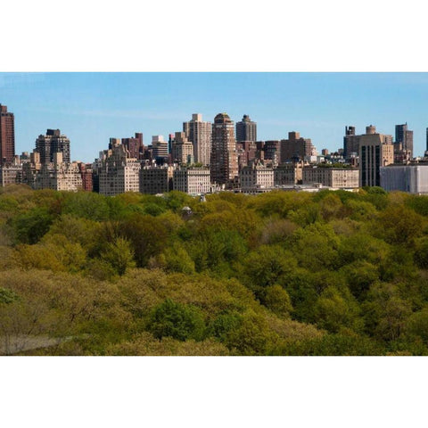 Central Park II White Modern Wood Framed Art Print by Berzel, Erin