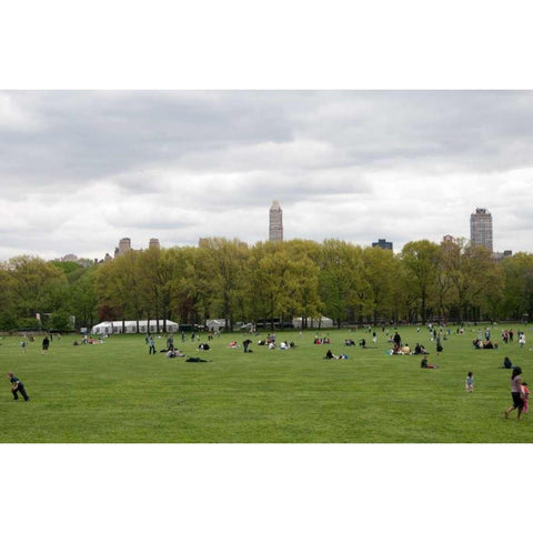 Spring in Central Park Black Modern Wood Framed Art Print with Double Matting by Berzel, Erin