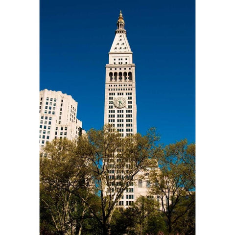 Madison Square Park White Modern Wood Framed Art Print by Berzel, Erin