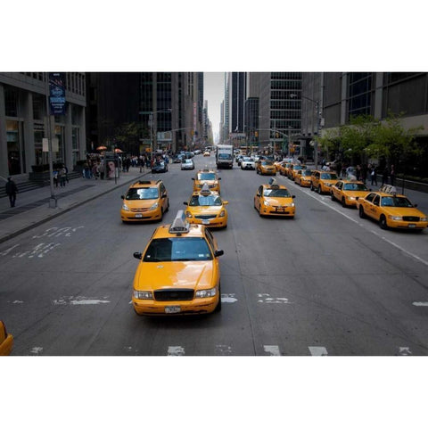 NYC Taxi Cabs Black Modern Wood Framed Art Print with Double Matting by Berzel, Erin