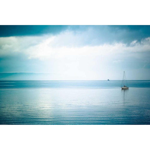 Whidbey Island II White Modern Wood Framed Art Print by Berzel, Erin