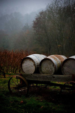 Oregon Wine Country II Black Ornate Wood Framed Art Print with Double Matting by Berzel, Erin