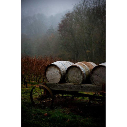 Oregon Wine Country II White Modern Wood Framed Art Print by Berzel, Erin