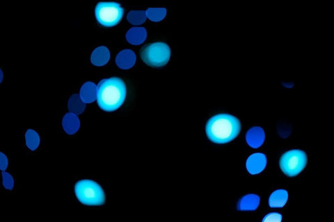 Blue Bokeh III Black Ornate Wood Framed Art Print with Double Matting by Berzel, Erin