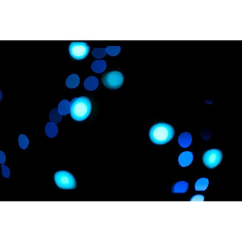 Blue Bokeh III Black Modern Wood Framed Art Print by Berzel, Erin