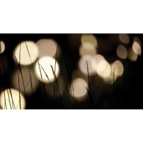 Bokeh Grass I White Modern Wood Framed Art Print by Berzel, Erin