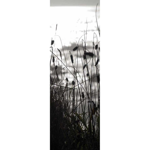 Coastal Grass Panel II White Modern Wood Framed Art Print by Berzel, Erin