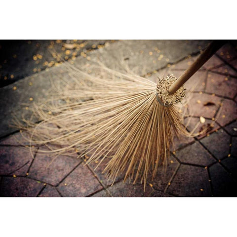 Thai Broom I White Modern Wood Framed Art Print by Berzel, Erin