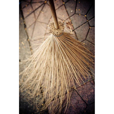 Thai Broom II Black Modern Wood Framed Art Print with Double Matting by Berzel, Erin