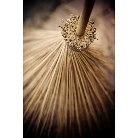 Thai Broom III White Modern Wood Framed Art Print by Berzel, Erin