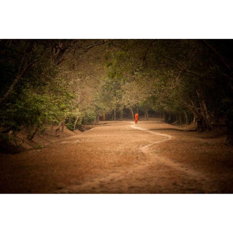 Monk on Path White Modern Wood Framed Art Print by Berzel, Erin