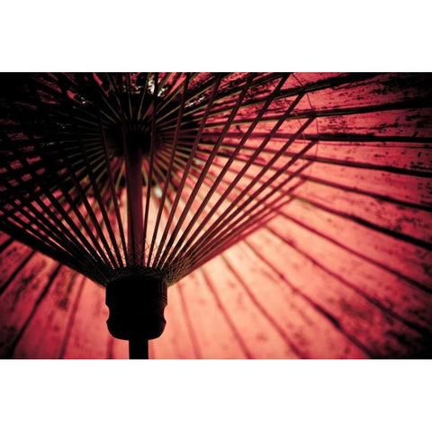 Cambodia Umbrella Black Modern Wood Framed Art Print by Berzel, Erin