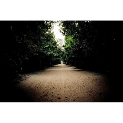 Pathway at Preah Khan Black Modern Wood Framed Art Print with Double Matting by Berzel, Erin