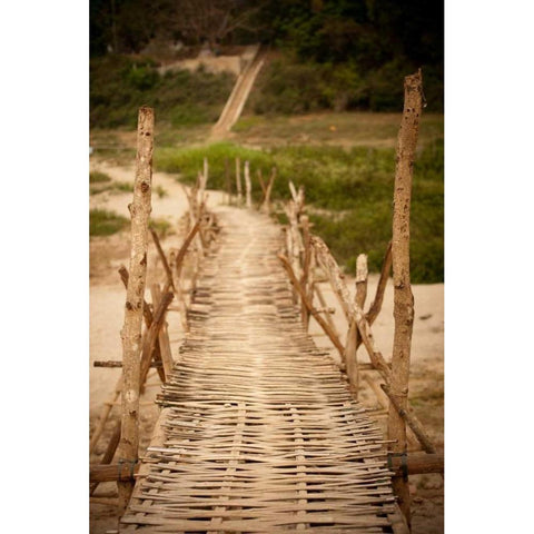 Bamboo Bridge Black Modern Wood Framed Art Print with Double Matting by Berzel, Erin