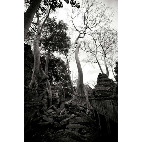 Ancient Ta Prohm I White Modern Wood Framed Art Print by Berzel, Erin