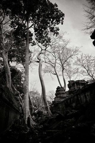 Ancient Ta Prohm II Black Ornate Wood Framed Art Print with Double Matting by Berzel, Erin