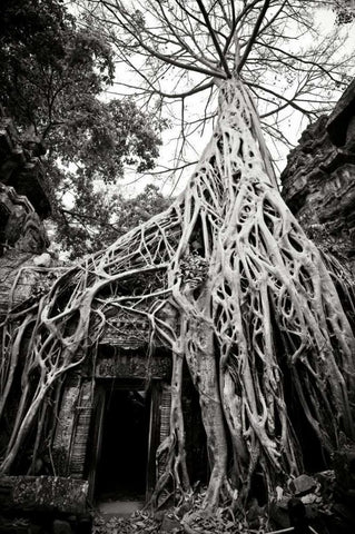 Doorway and Roots I Black Ornate Wood Framed Art Print with Double Matting by Berzel, Erin