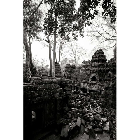 Ancient Ta Prohm IV Black Modern Wood Framed Art Print with Double Matting by Berzel, Erin