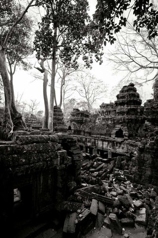 Ancient Ta Prohm IV White Modern Wood Framed Art Print with Double Matting by Berzel, Erin