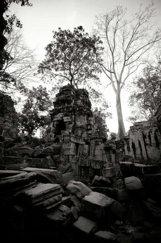 Ancient Ta Prohm I White Modern Wood Framed Art Print with Double Matting by Berzel, Erin