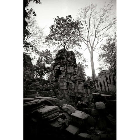 Ancient Ta Prohm I White Modern Wood Framed Art Print by Berzel, Erin