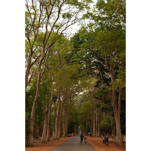 Road to Angkor White Modern Wood Framed Art Print by Berzel, Erin