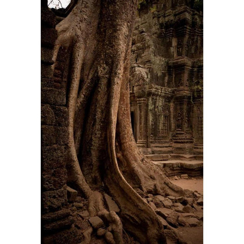 Roots and Ruins I White Modern Wood Framed Art Print by Berzel, Erin