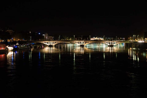 River Rhone at Night II Black Ornate Wood Framed Art Print with Double Matting by Berzel, Erin